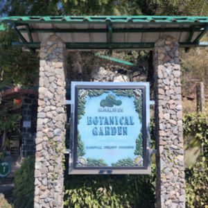 botanicial garden nainital