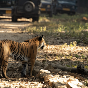 Jim corbett - best places of Kumaon