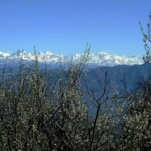 Kanatal - places in Uttarakhand