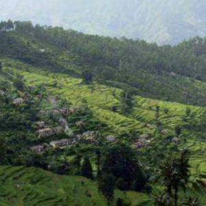 Peora - place in Uttarakhand